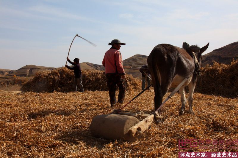 陕北打场